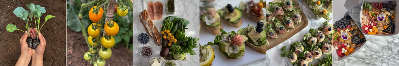 catering